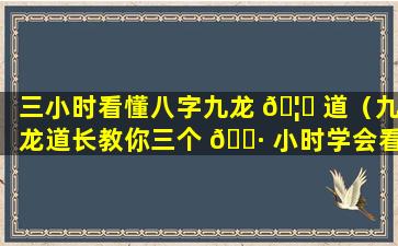 三小时看懂八字九龙 🦋 道（九龙道长教你三个 🌷 小时学会看八字）